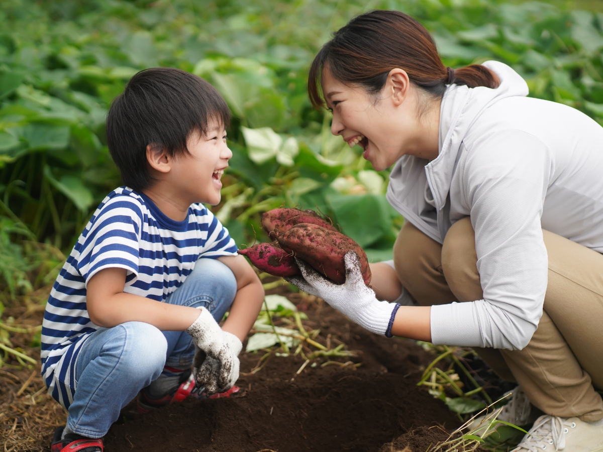 芋掘り×クッキング